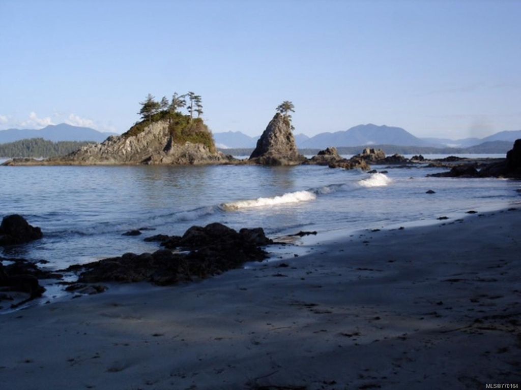 listing image 16044043911484