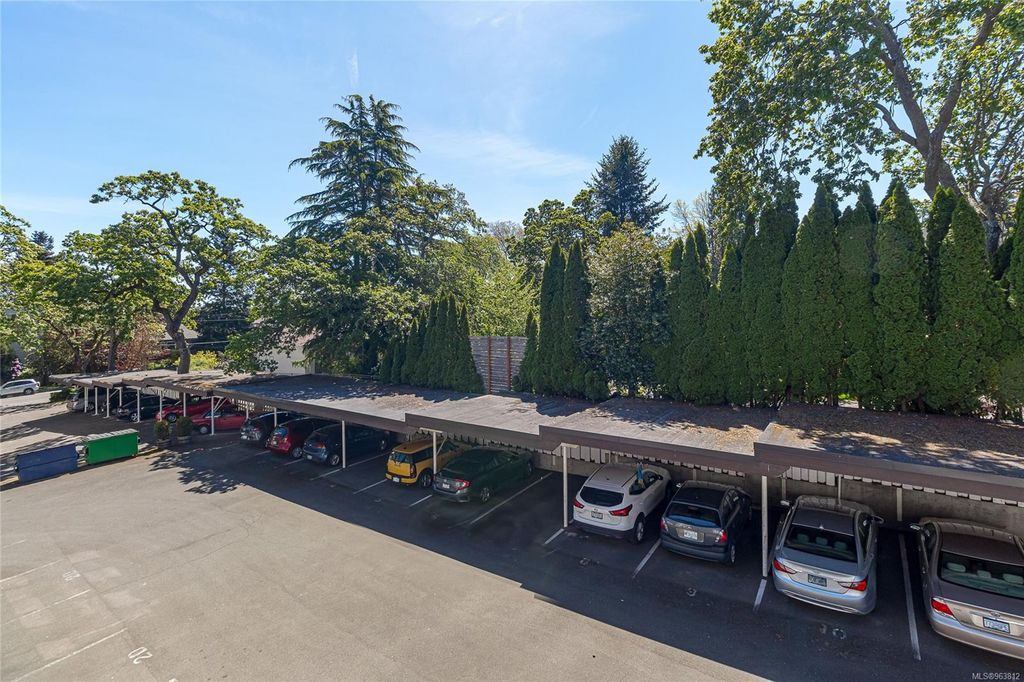listing image 16044898730847395877