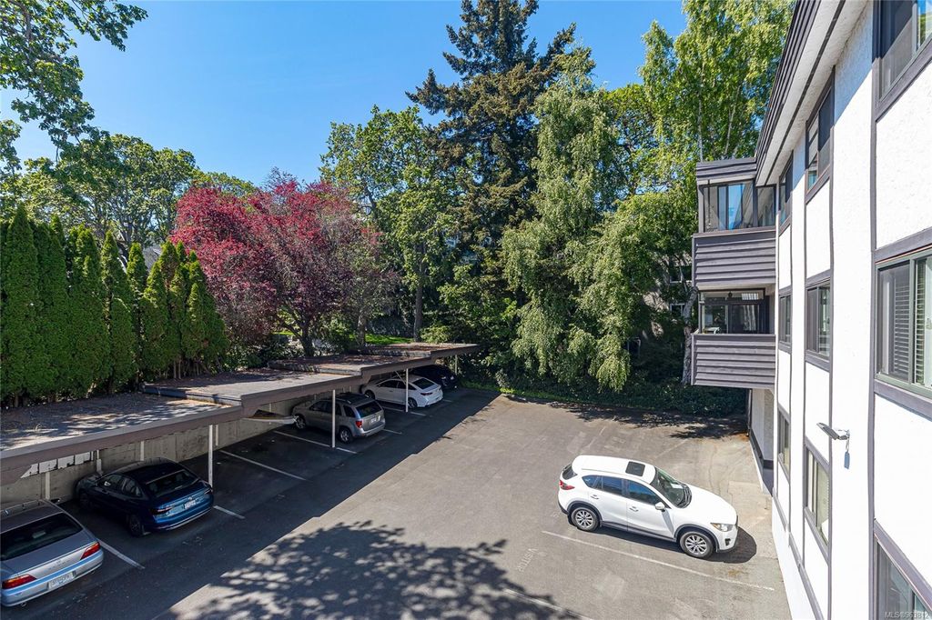 listing image 16049164245191761235
