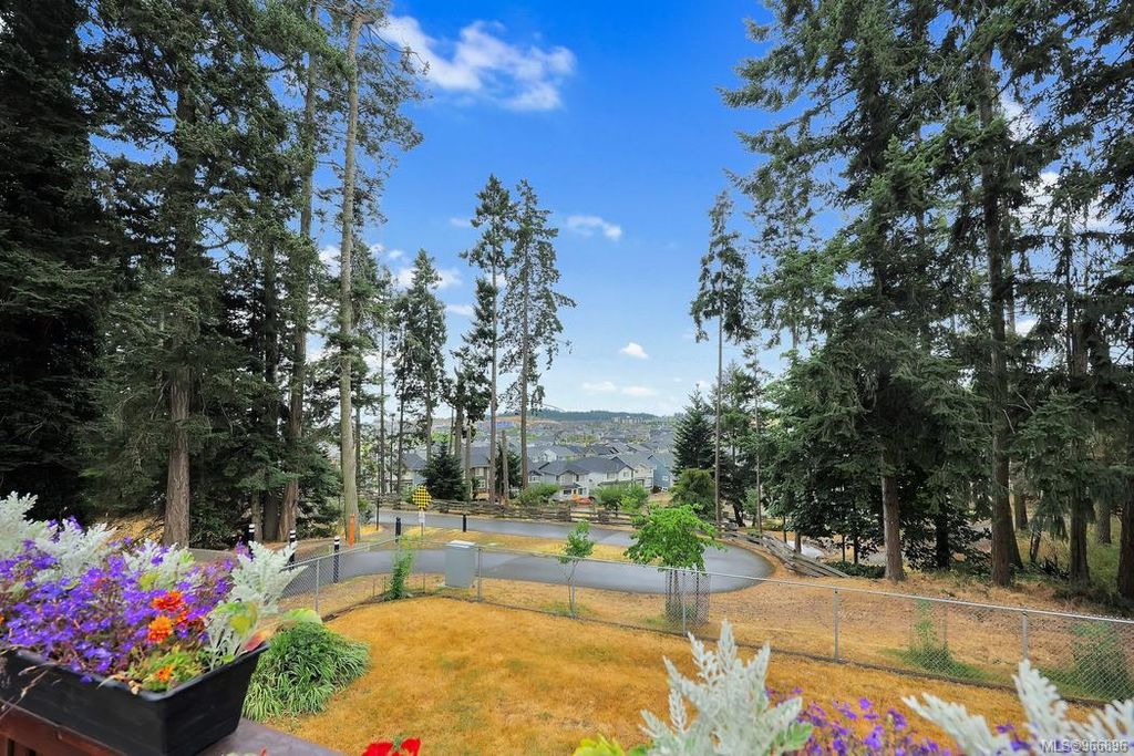 listing image 16046157116626788551