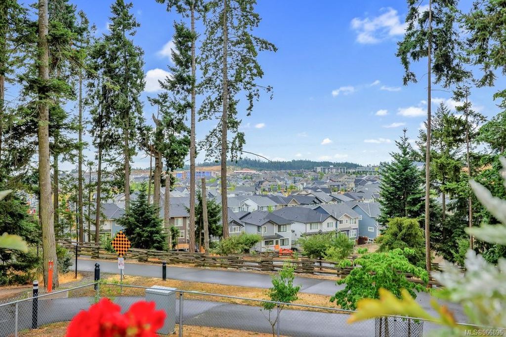 listing image 16046355669904704383