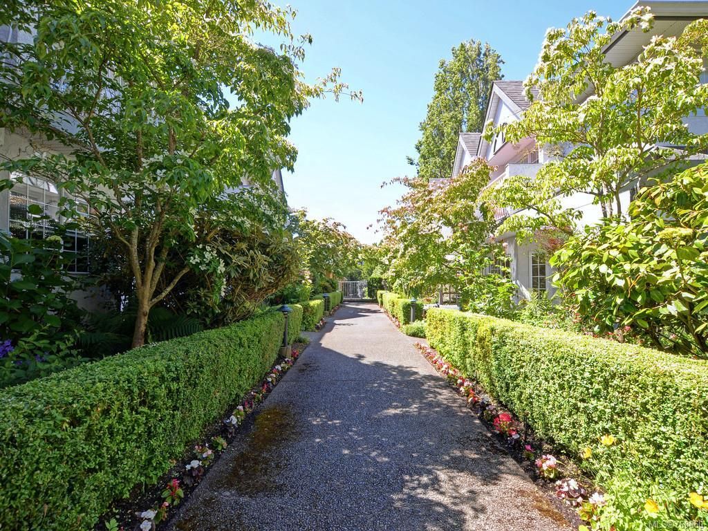 listing image 16049590759876023286