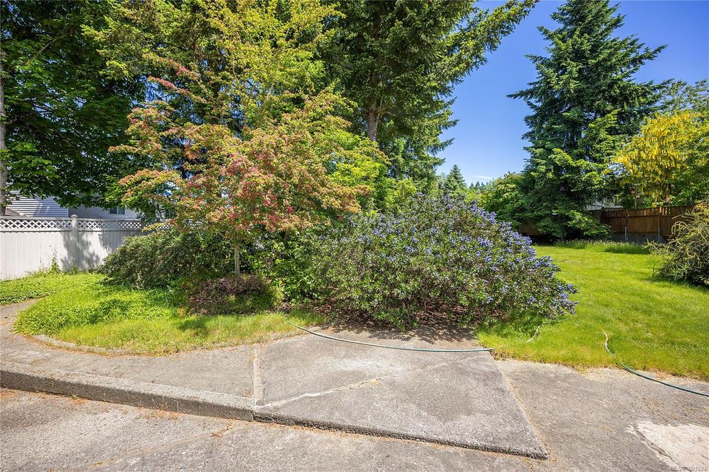 listing image 16045005007464714451