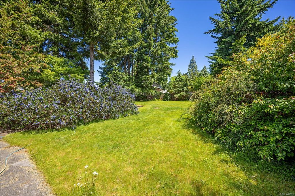 listing image 16041117896140180153