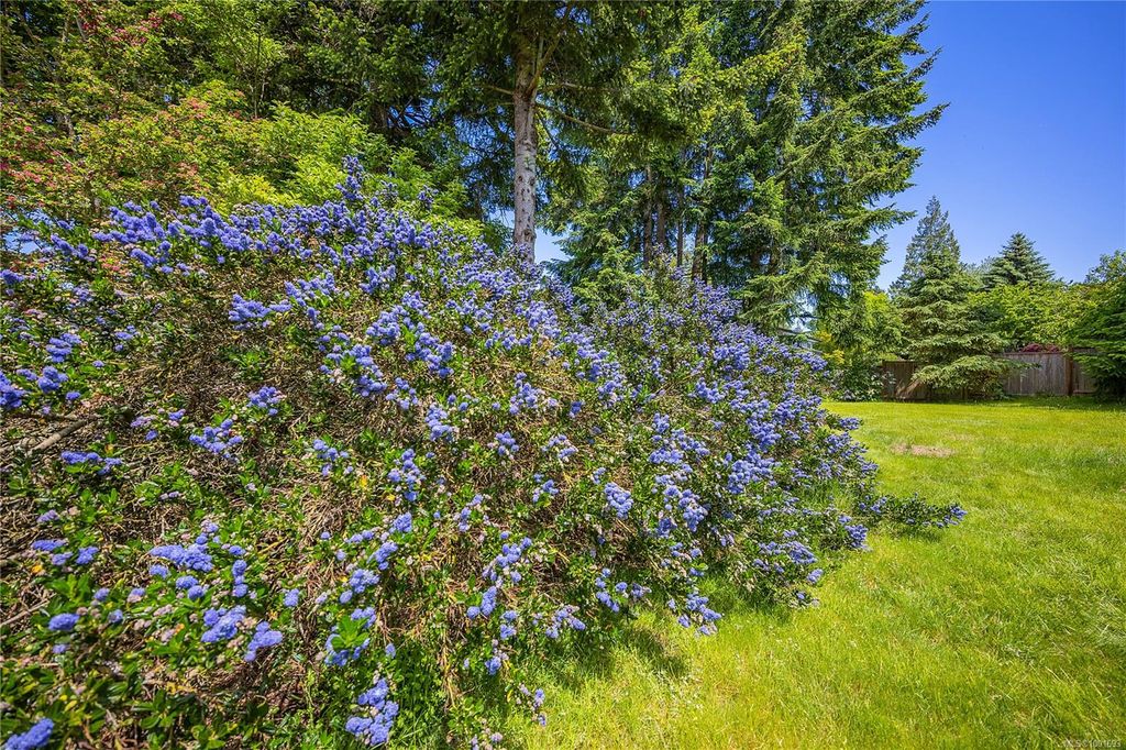 listing image 16049557048048175211