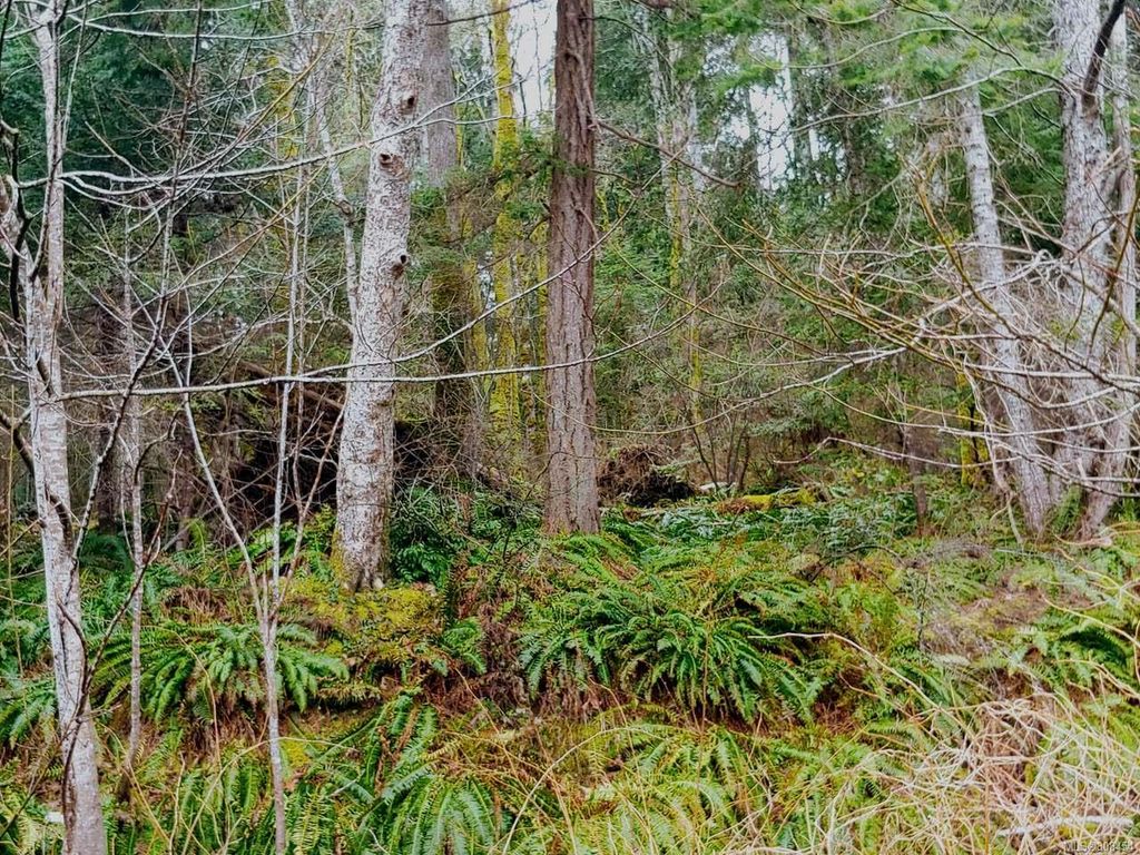listing image 16045073805785595358