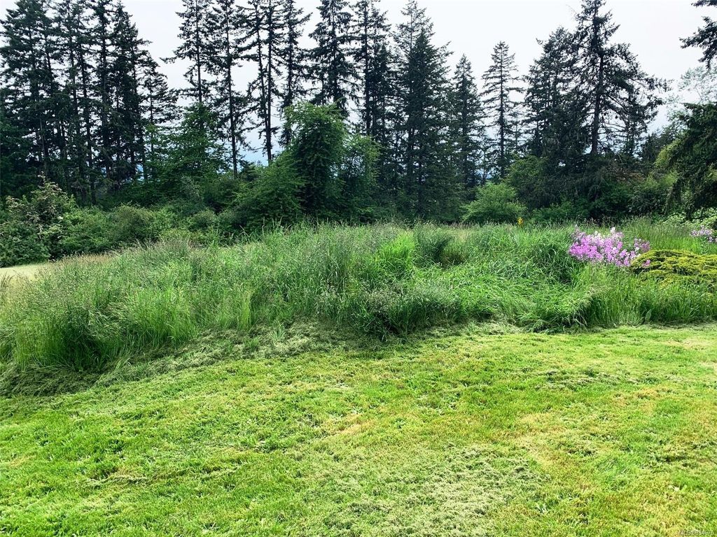 listing image 16041021949489632344