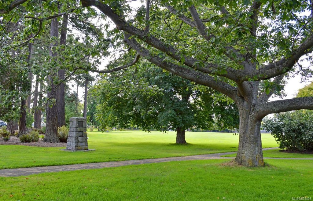 listing image 16048571311947233754