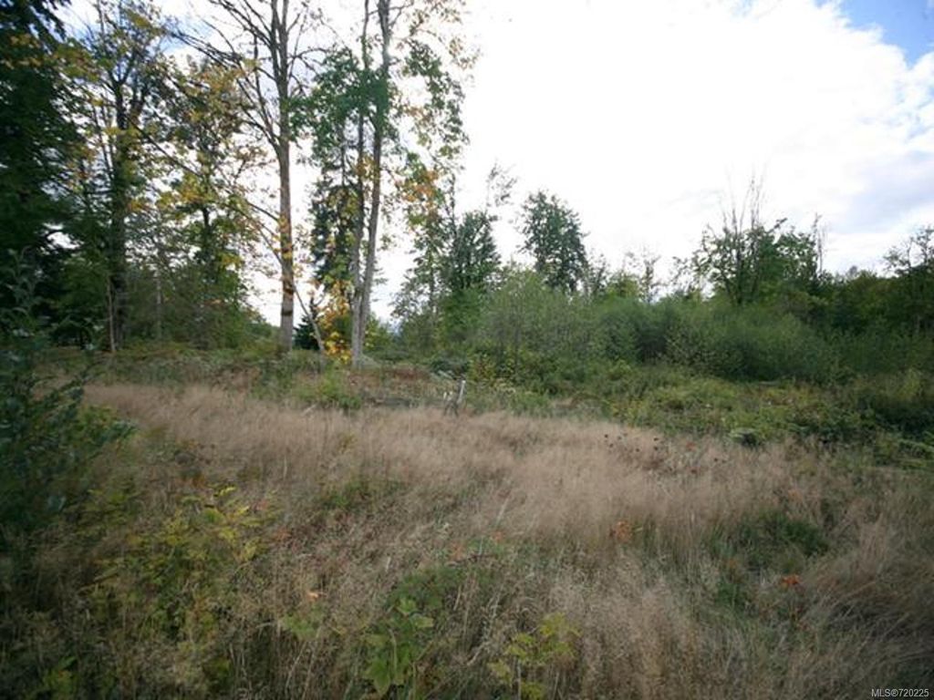 listing image 16040006168923705467