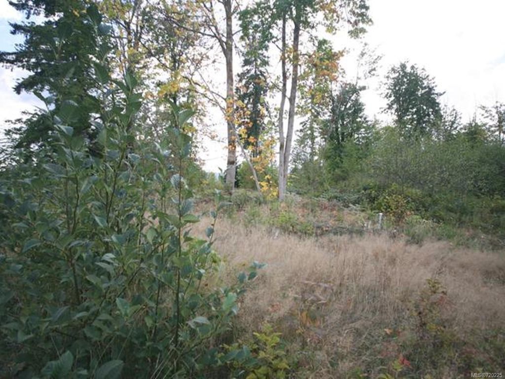 listing image 16045547413873995569