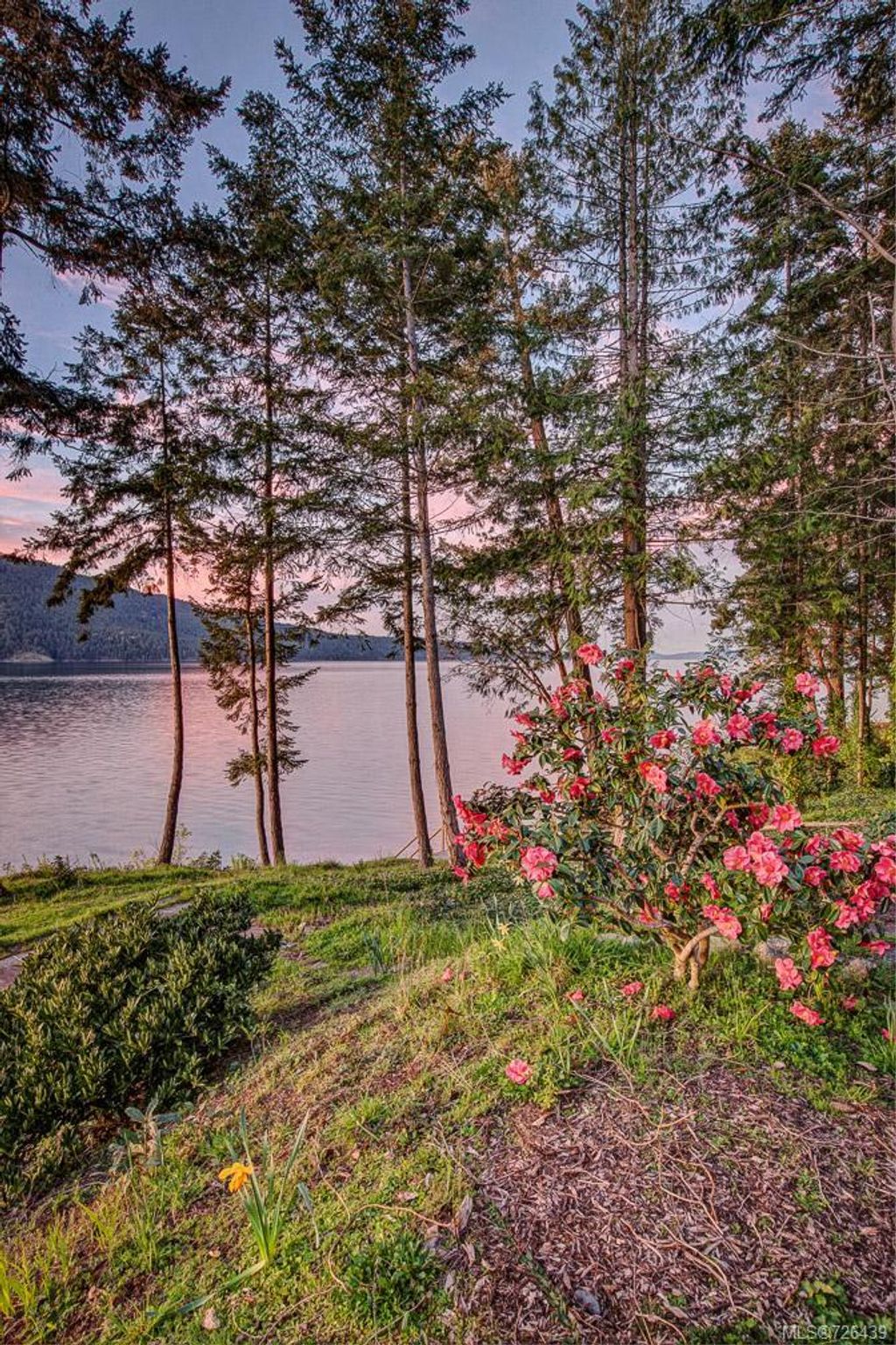 listing image 16041998818279339299