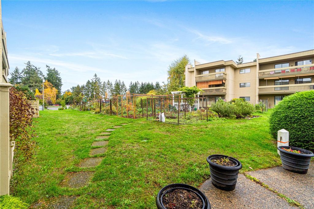 listing image 16044347516558966479