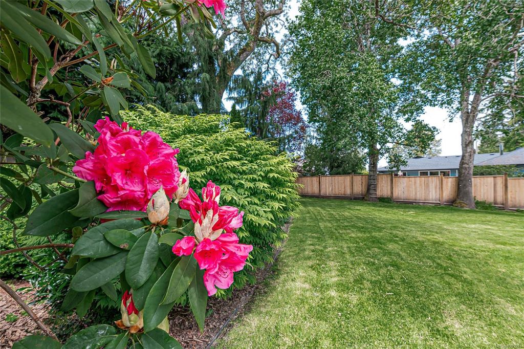 listing image 16048177974910446900