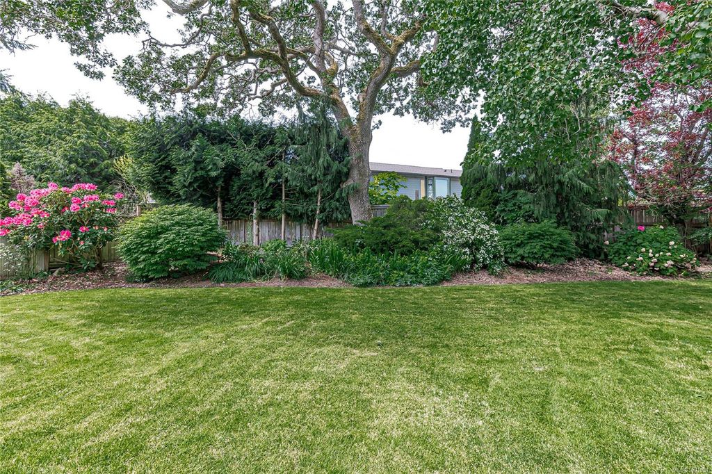 listing image 16041323627452874298