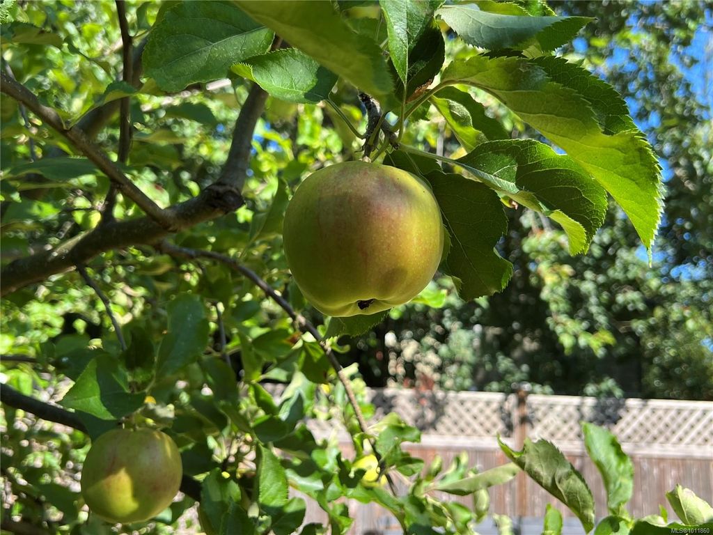 listing image 16042278275568800171