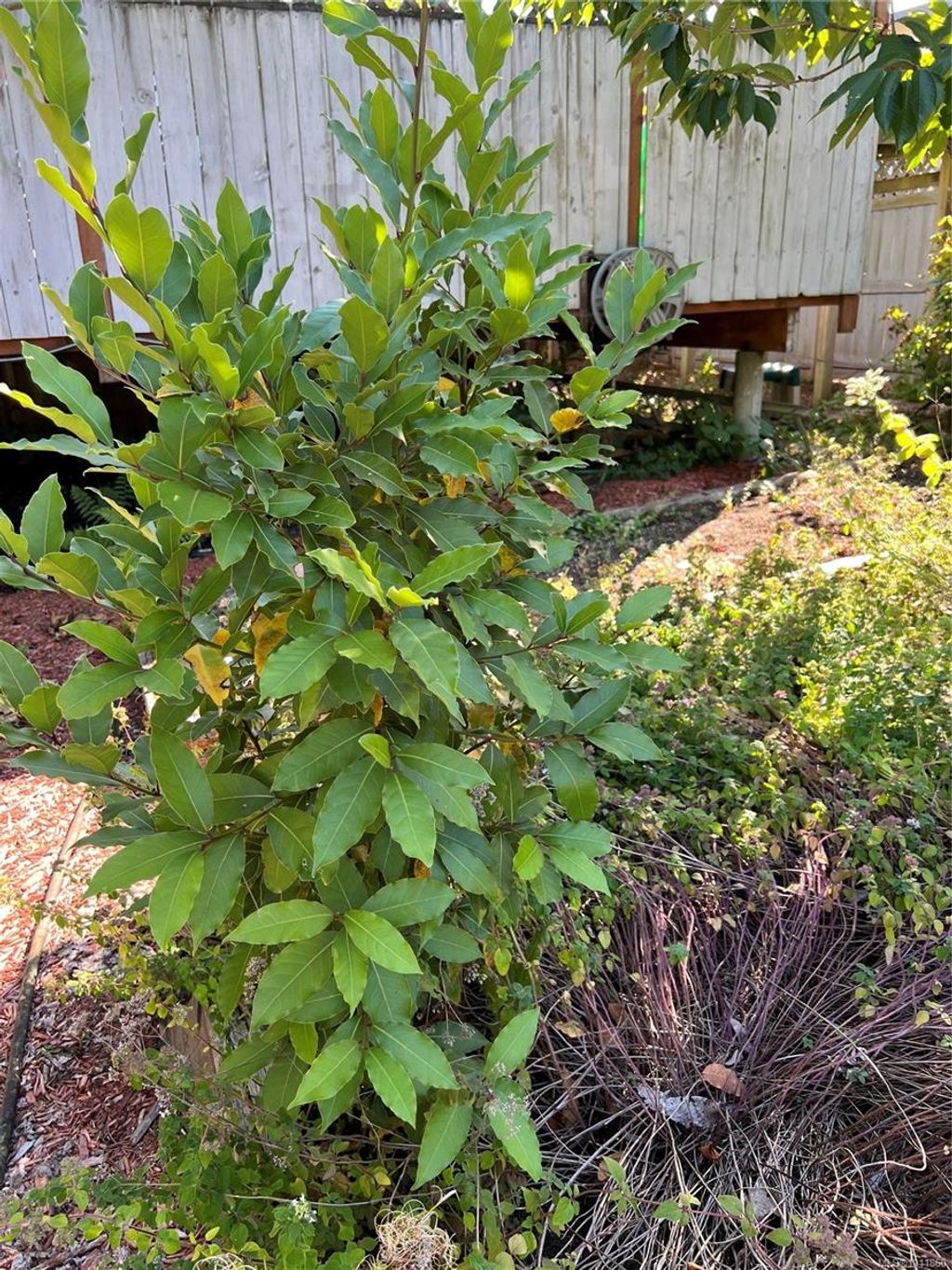 listing image 16044927129828619662