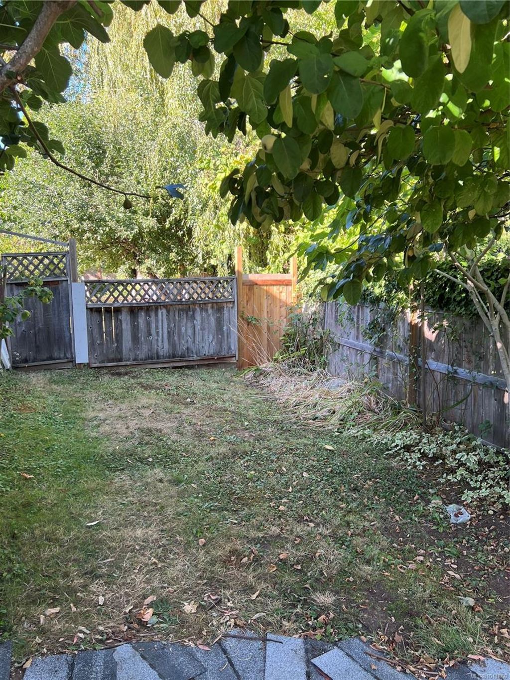 listing image 16044573492351742899