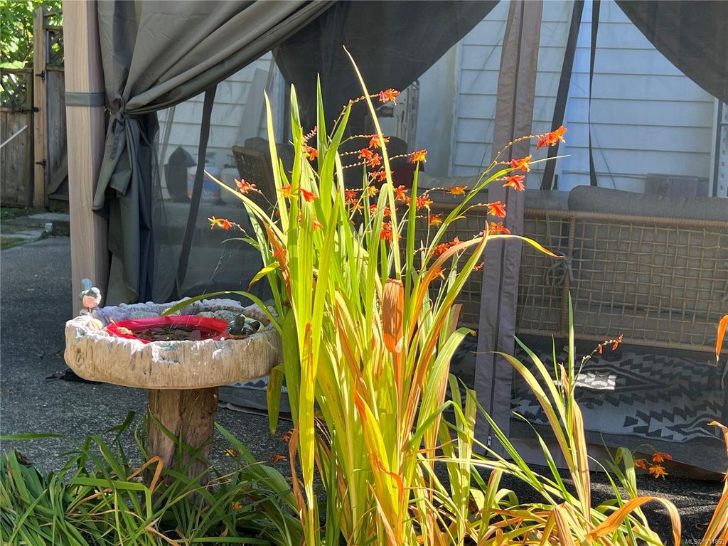 listing image 16041452184987881917