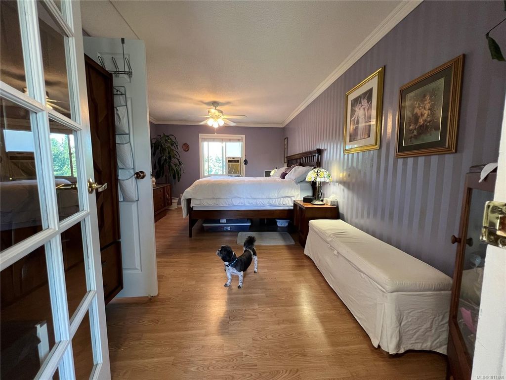 listing image 16049173770561570926