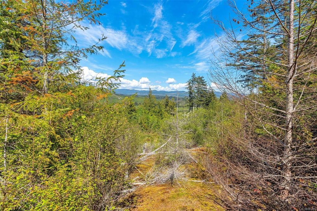 listing image 16049062712734028287