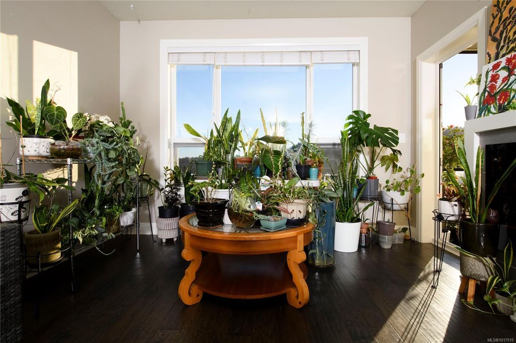 listing image 16047219869930488235