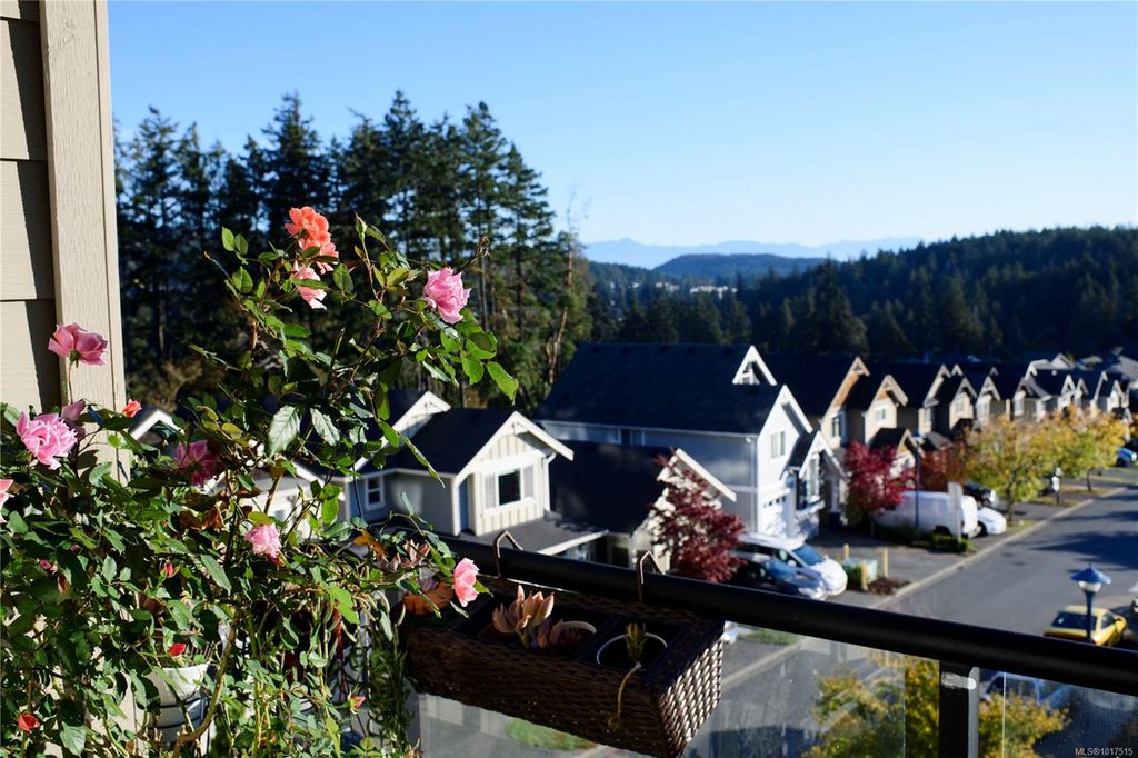 listing image 16041446825244756173