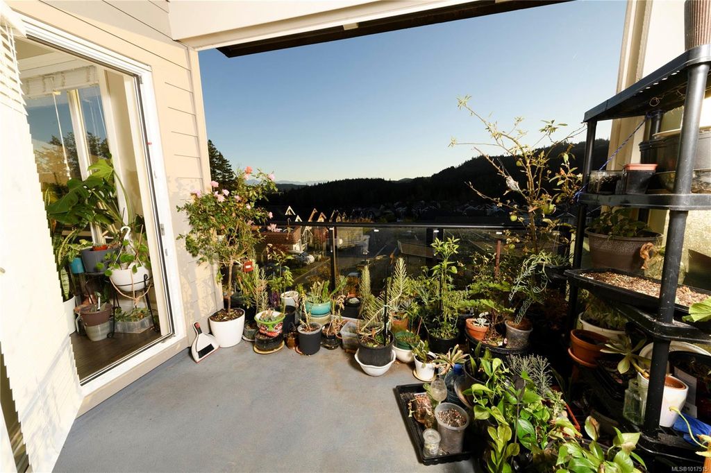 listing image 16044371895916204725