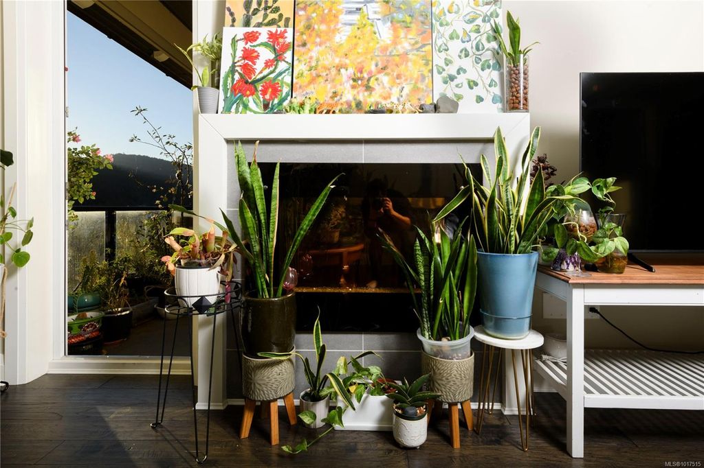 listing image 16048620291573285466