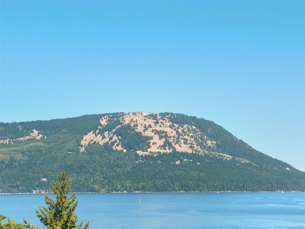 listing image 1604547657395