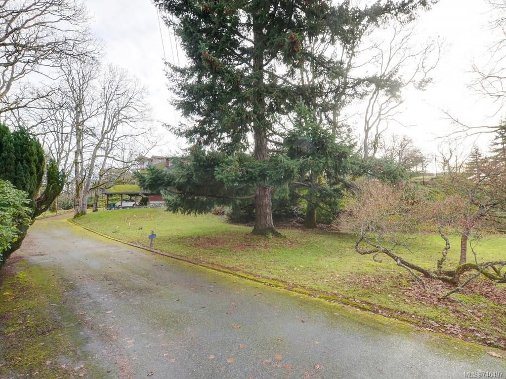 listing image 16044660623155412352