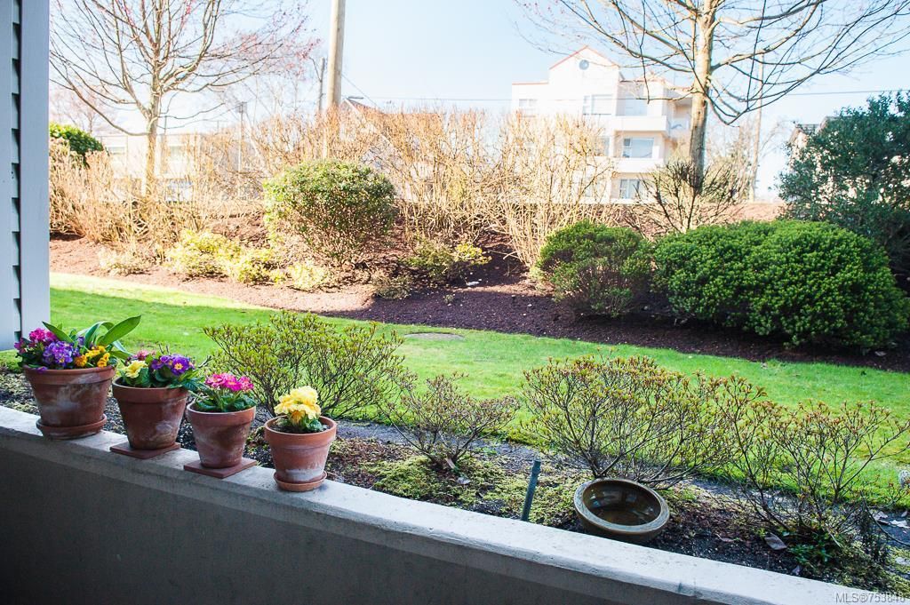 listing image 16044965776383105031