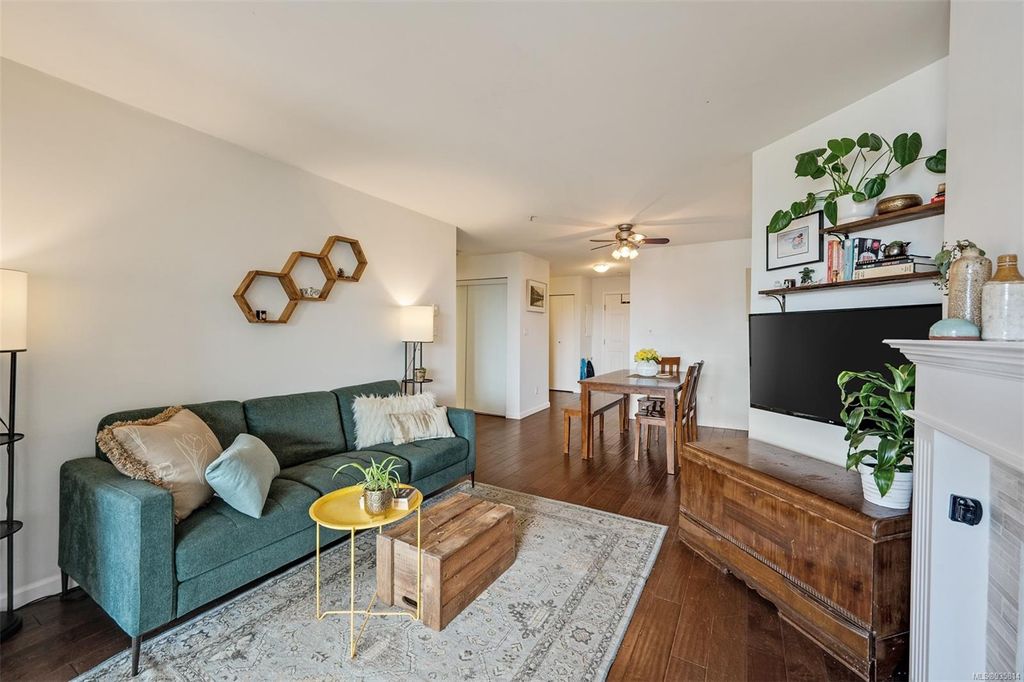 listing image 16049860641361010296