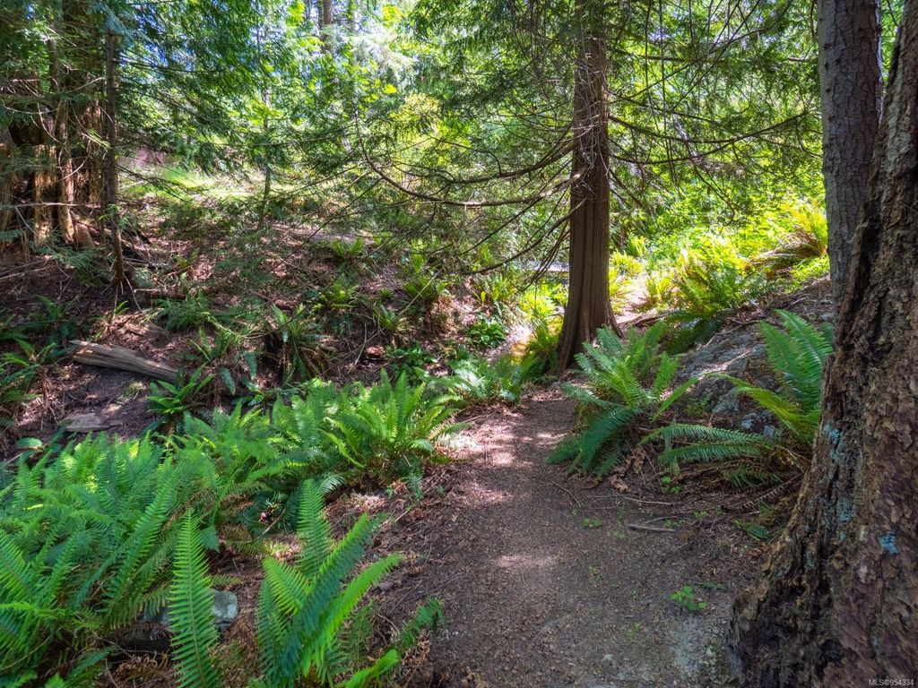 listing image 16048135050797923823