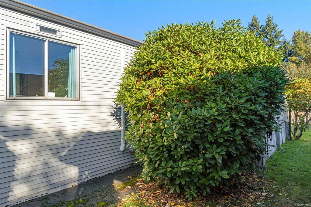 listing image 16047763477396367517