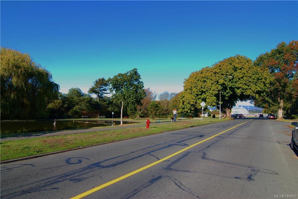 listing image 16043582868733291183