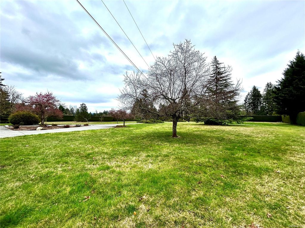 listing image 16049734282894250904