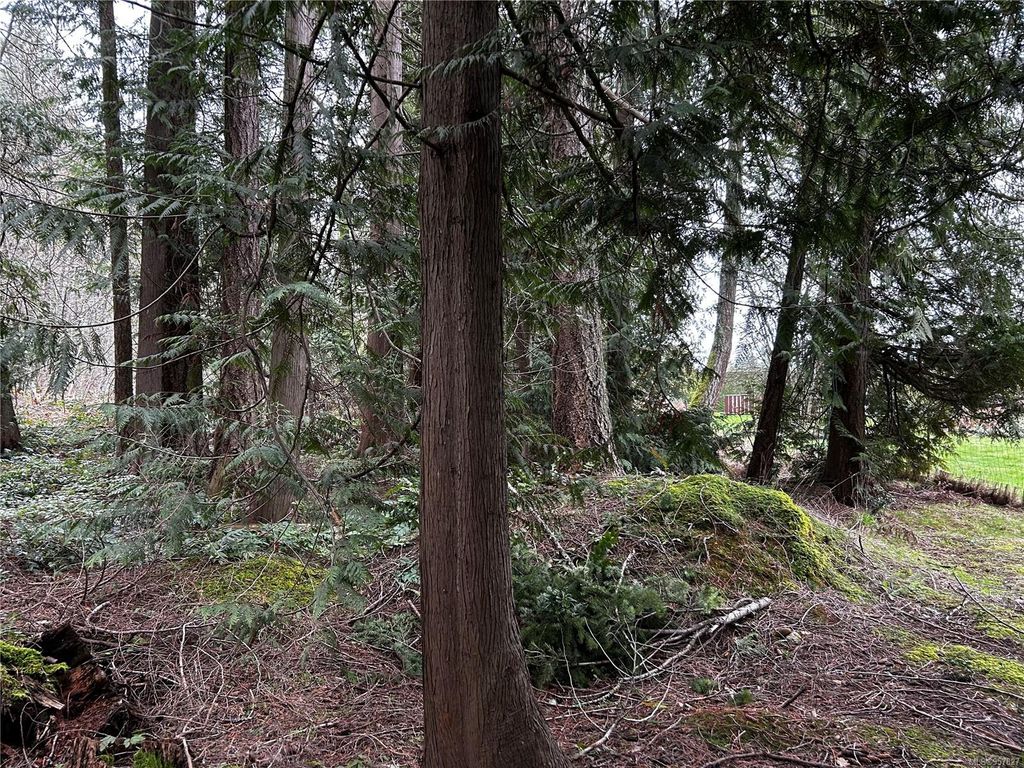 listing image 16049475050928260203