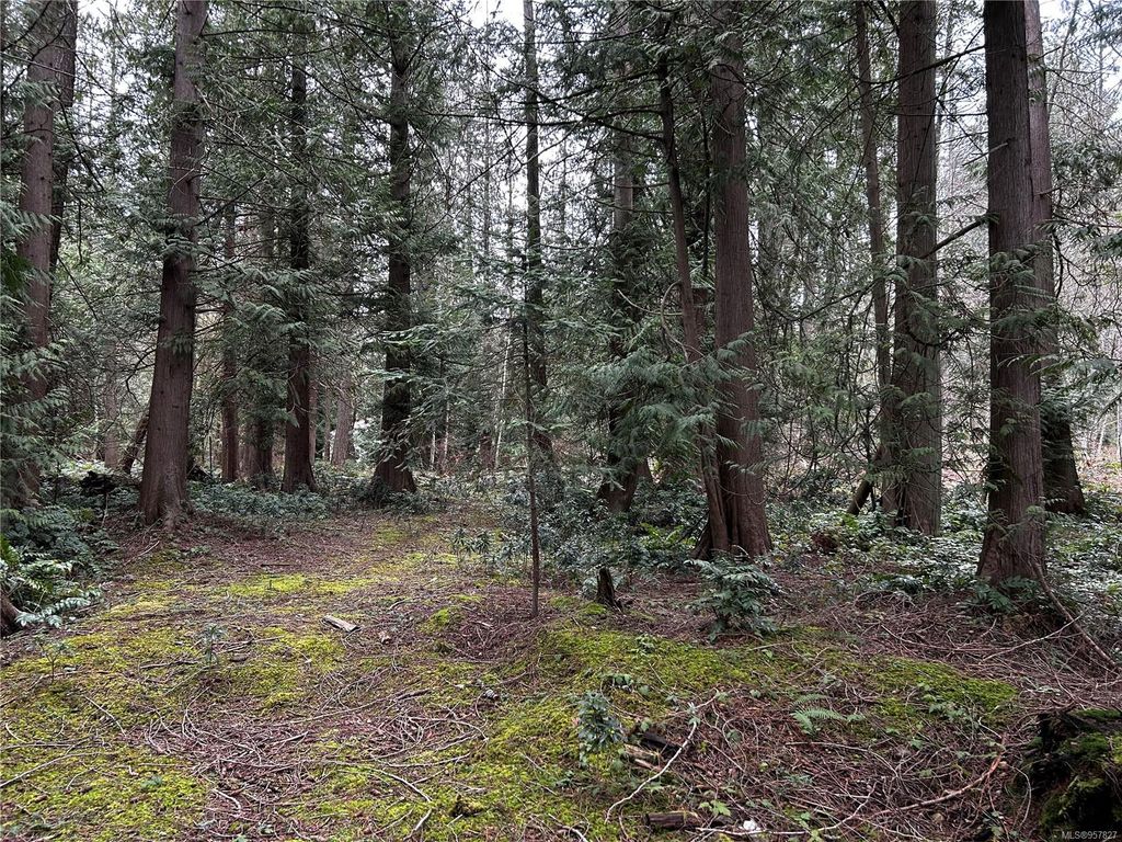 listing image 16042113536827407793