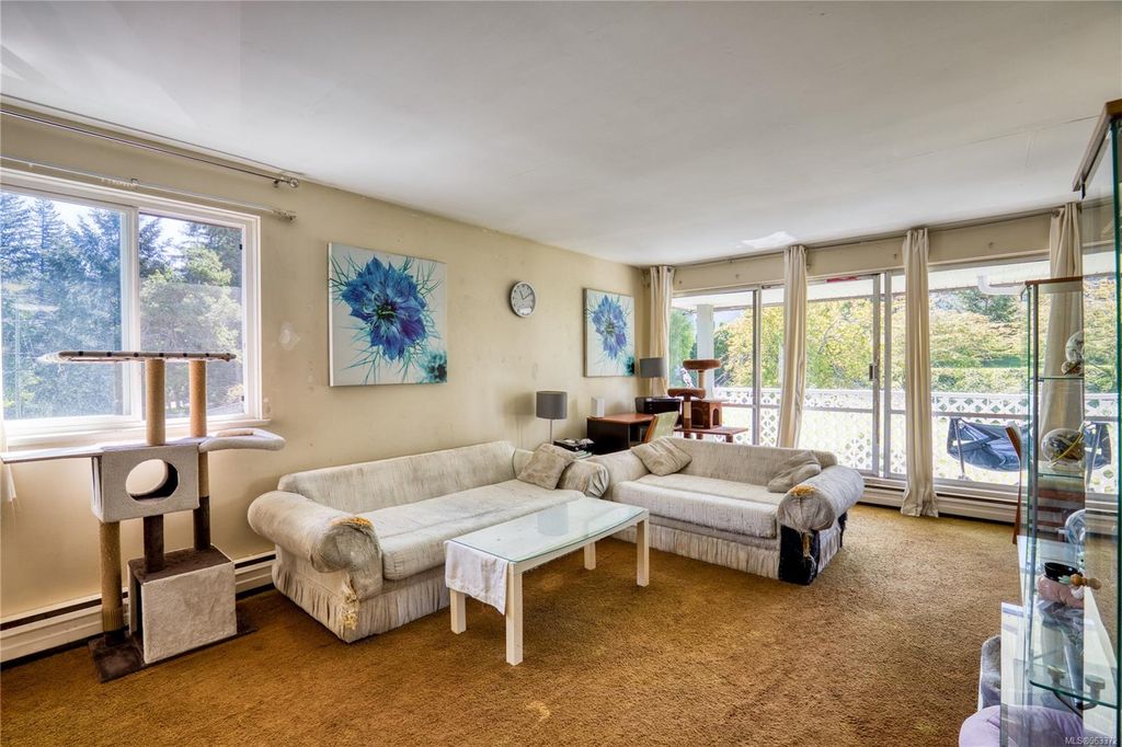 listing image 16040785020431193346