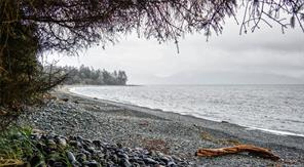 listing image 16041085861145