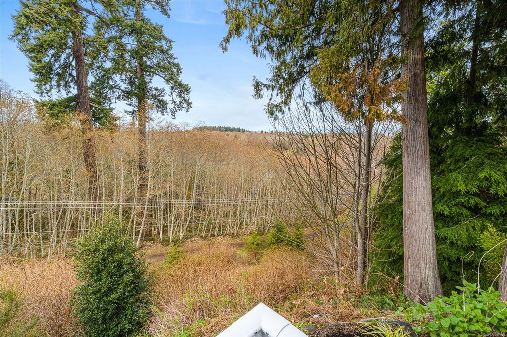 listing image 16046573495535599118