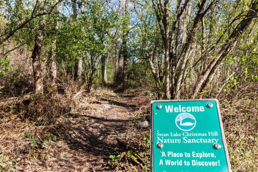 listing image 16040033197814141423