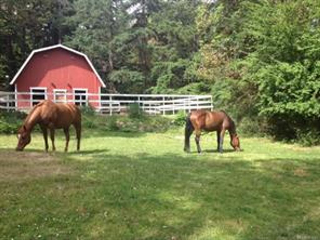 listing image 16042958048533