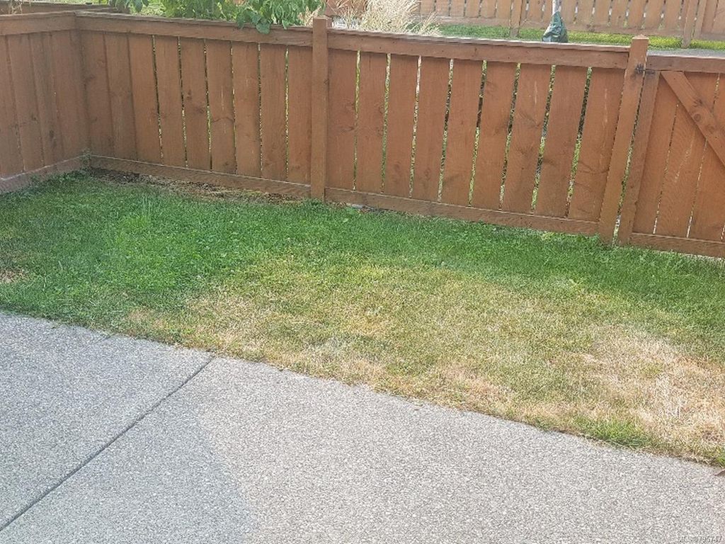 listing image 16043273085718989599