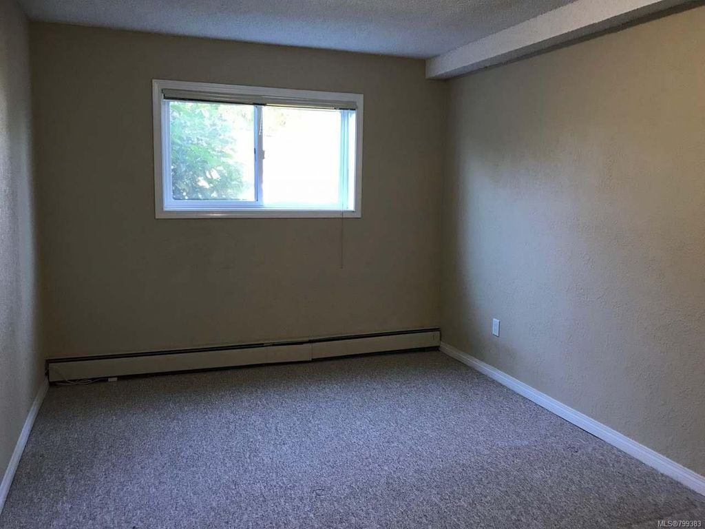listing image 16043981999752651760