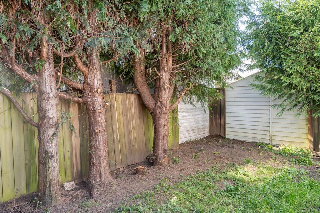 listing image 16045824915910629538