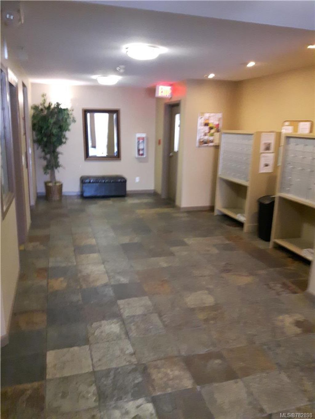 listing image 16049143001839040006