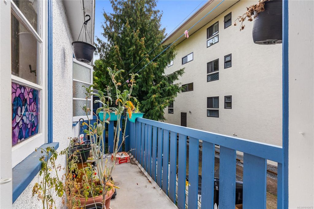 listing image 16041261487186626545