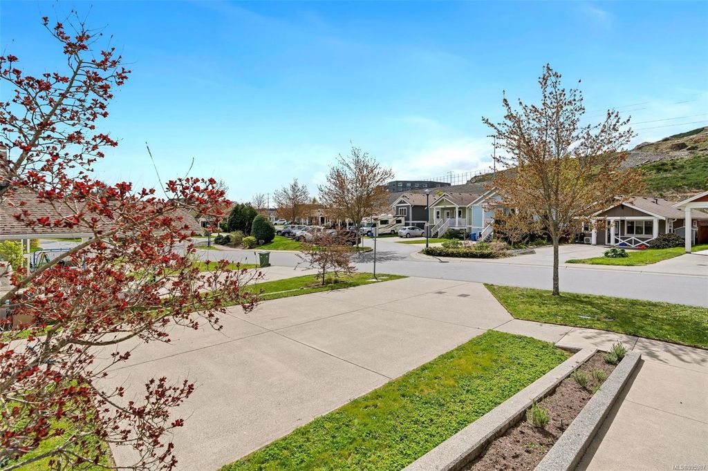listing image 16040146529440911266