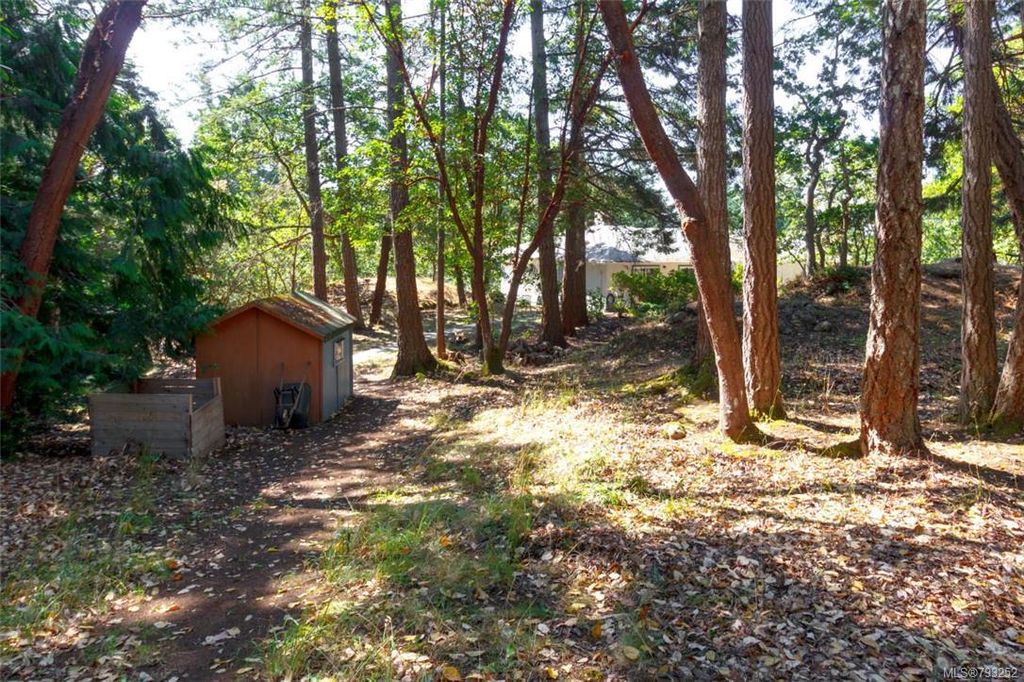 listing image 16041390189521656658